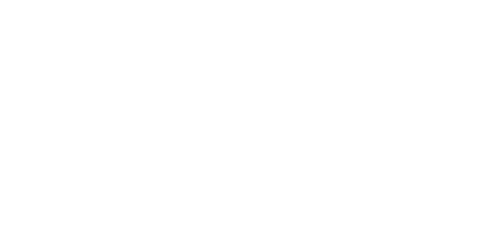 Salvation Ministries